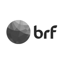 Logo de cliente RADKE